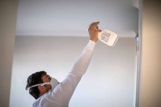 Best Professional Mold Removal  in Carmel, IN
